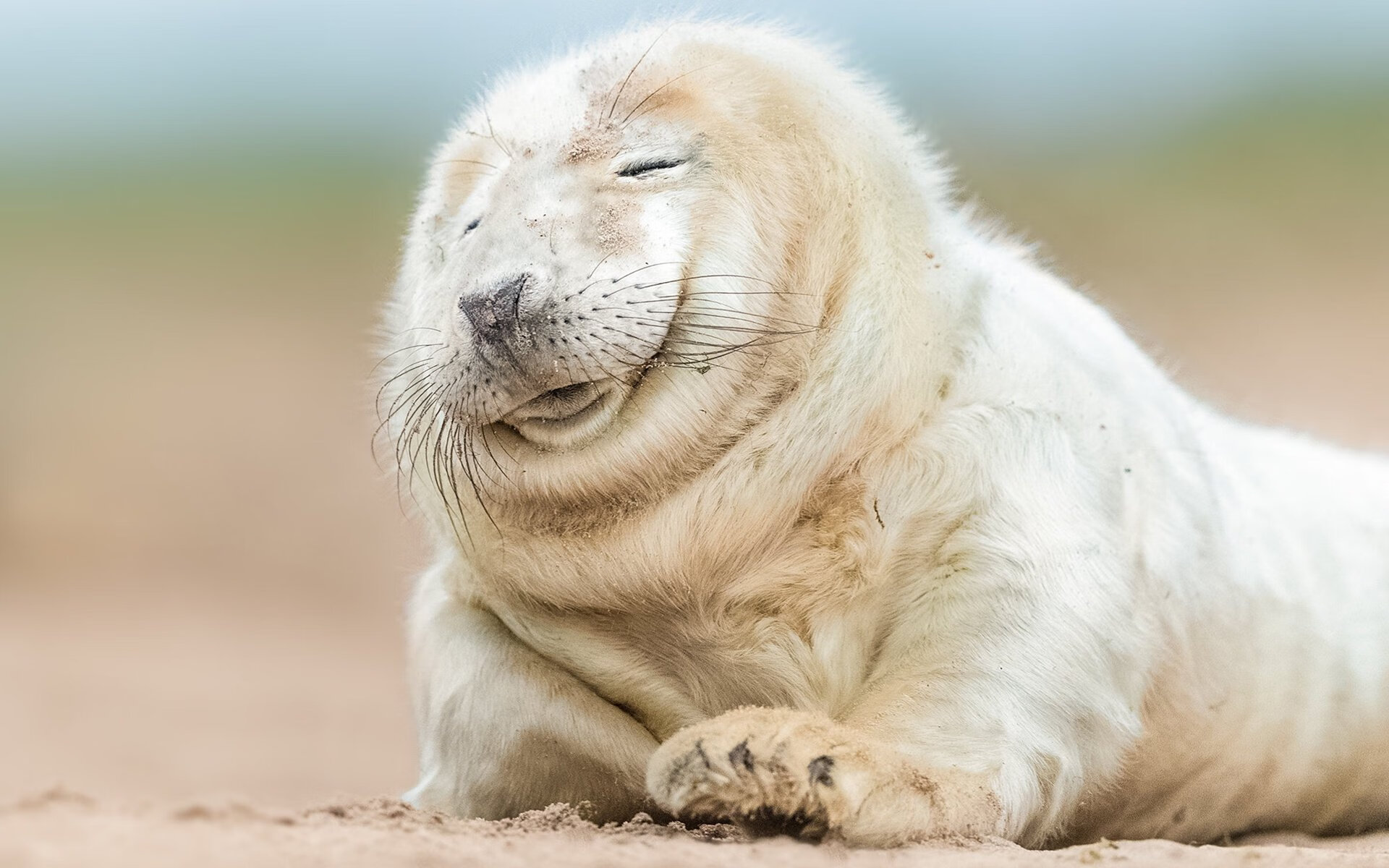 球队数据模型预测保级可能性是否优于主观分析，球队保级有什么好处