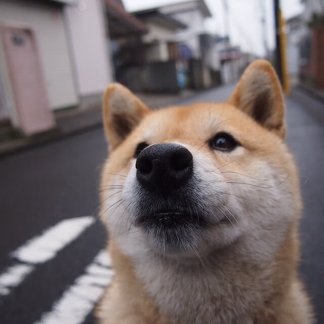 高校射箭联赛展开角逐 展现传统魅力，高校射箭比赛